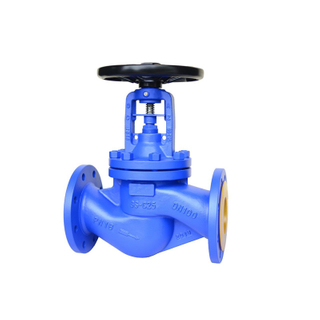 Bellow Seal Globe Valve Flange WCB Pn16